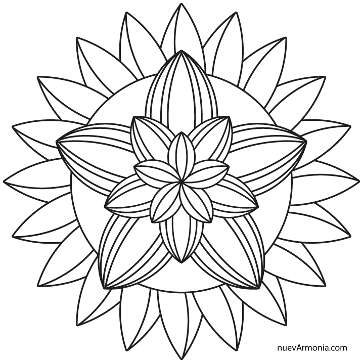 Mandala de la colección de nuevArmonia